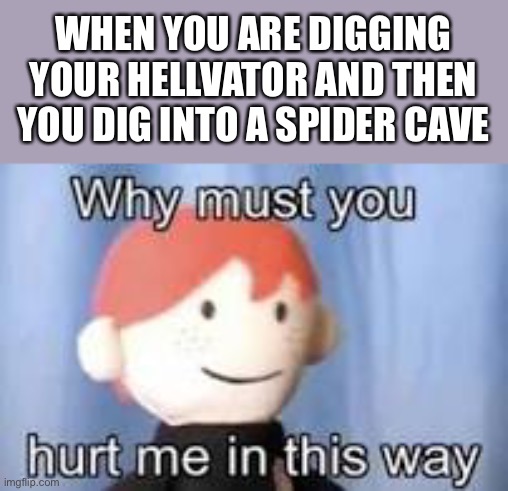 Why must you hurt me in this way | WHEN YOU ARE DIGGING YOUR HELLVATOR AND THEN YOU DIG INTO A SPIDER CAVE | image tagged in why must you hurt me in this way | made w/ Imgflip meme maker