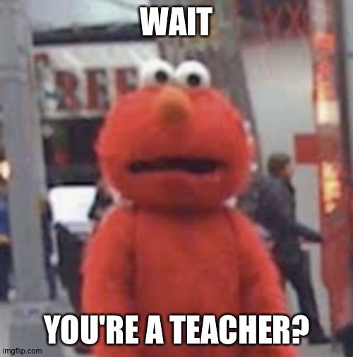 Elmo | WAIT YOU'RE A TEACHER? | image tagged in elmo | made w/ Imgflip meme maker