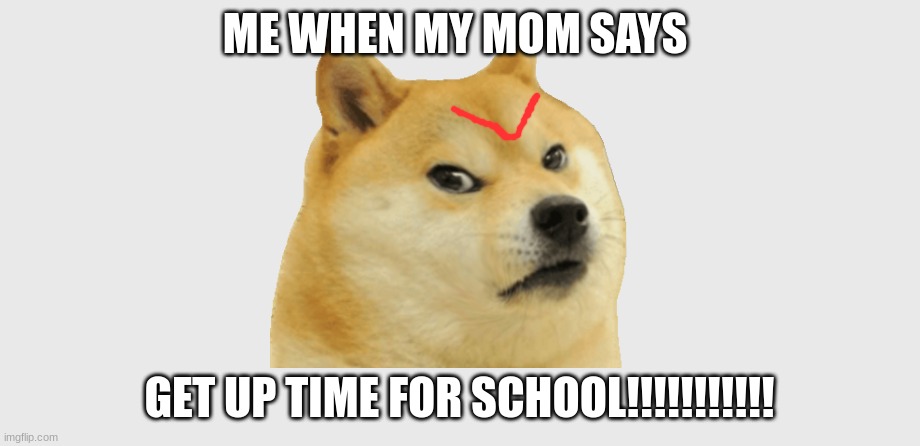 Pinterest | ME WHEN MY MOM SAYS; GET UP TIME FOR SCHOOL!!!!!!!!!!! | image tagged in pinterest | made w/ Imgflip meme maker