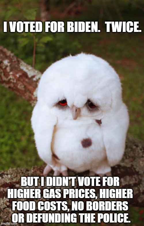 I Voted for Biden! | I VOTED FOR BIDEN.  TWICE. BUT I DIDN'T VOTE FOR 
HIGHER GAS PRICES, HIGHER 
FOOD COSTS, NO BORDERS 
OR DEFUNDING THE POLICE. | image tagged in sad owl,biden,inflation,defund the police,gas prices,food prices | made w/ Imgflip meme maker