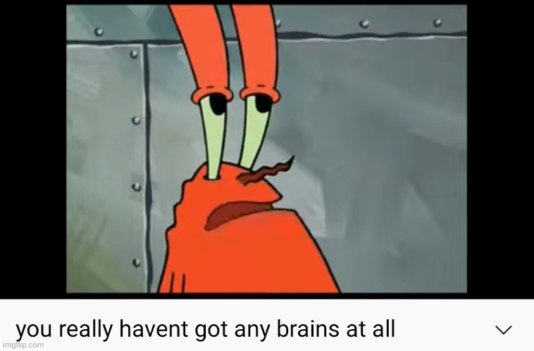 you really haven't got any brains at all | image tagged in you really haven't got any brains at all | made w/ Imgflip meme maker