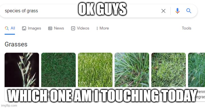 OK GUYS; WHICH ONE AM I TOUCHING TODAY | made w/ Imgflip meme maker