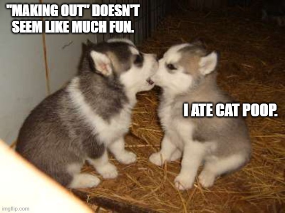 Puppies Making Out. |  "MAKING OUT" DOESN'T SEEM LIKE MUCH FUN. I ATE CAT POOP. | image tagged in memes,cute puppies,making out,puppy love,cat poop | made w/ Imgflip meme maker