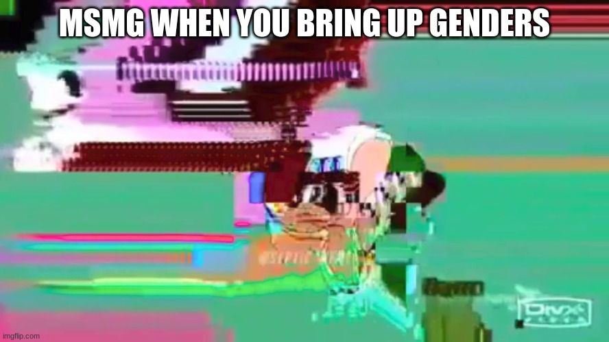 MSMG WHEN YOU BRING UP GENDERS | made w/ Imgflip meme maker