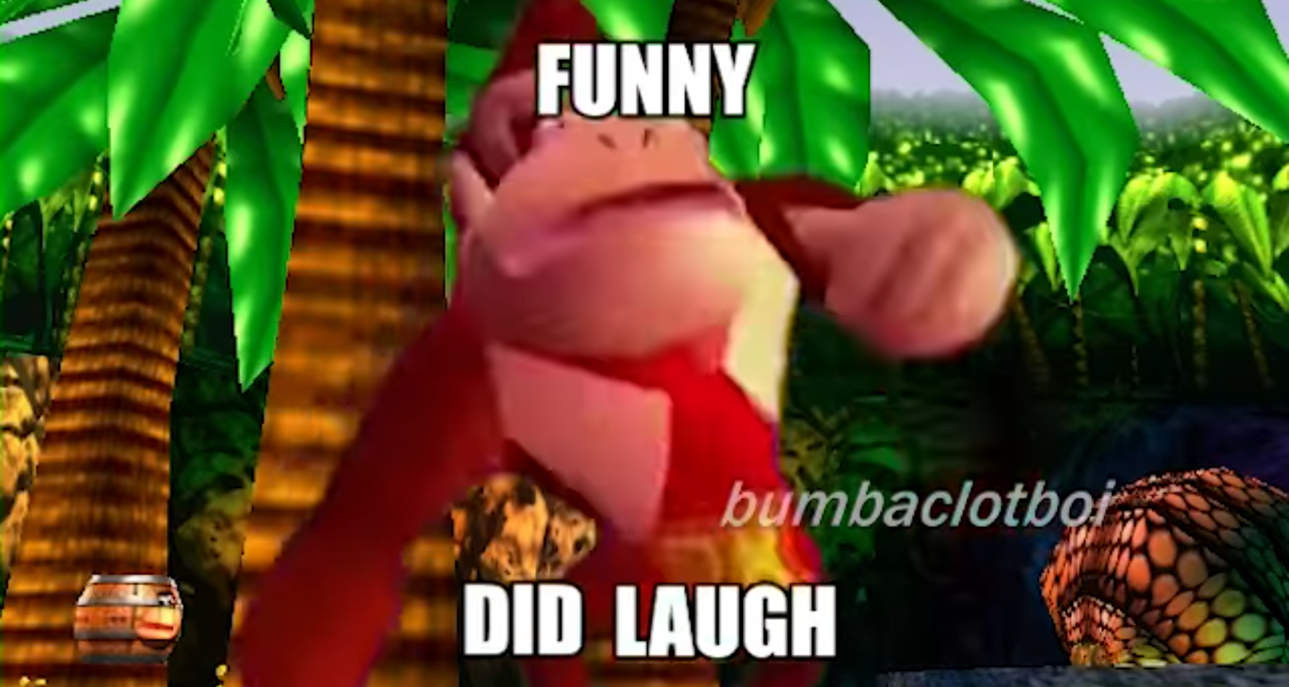 Funny, did laugh Blank Meme Template