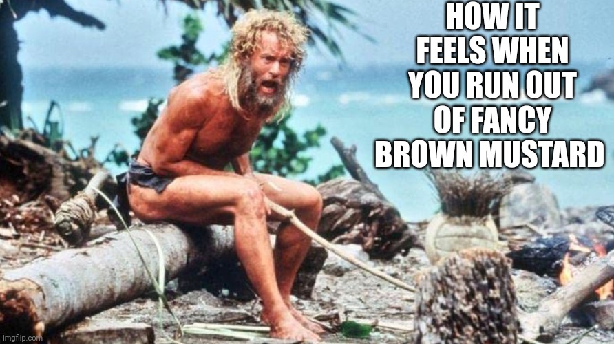 HOW IT FEELS WHEN YOU RUN OUT OF FANCY BROWN MUSTARD | image tagged in funny memes | made w/ Imgflip meme maker