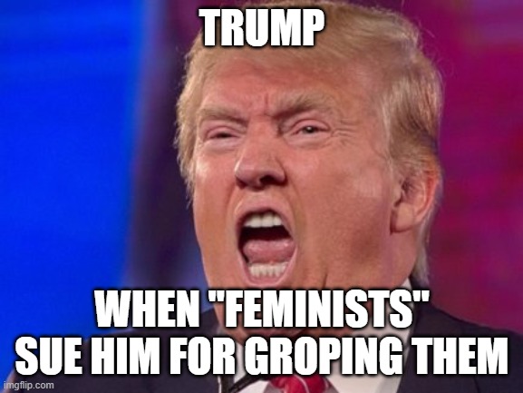 Angry Trump | TRUMP; WHEN "FEMINISTS" SUE HIM FOR GROPING THEM | image tagged in angry trump | made w/ Imgflip meme maker