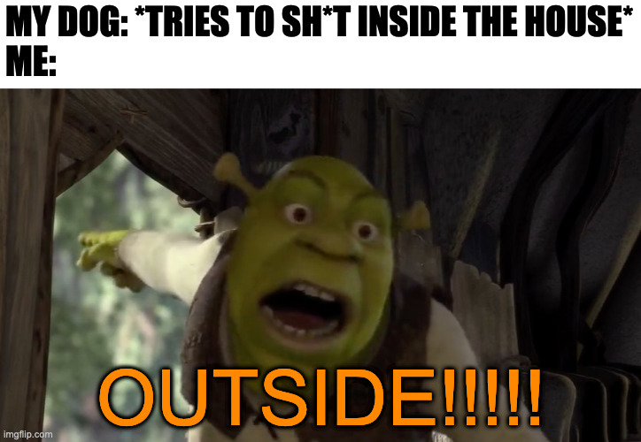 OUTSIDE!!!!! Shrek | MY DOG: *TRIES TO SH*T INSIDE THE HOUSE*
ME:; OUTSIDE!!!!! | image tagged in shrek,meme,memes,funny,relatable,lol so funny | made w/ Imgflip meme maker