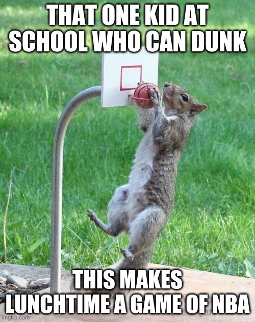 basketball be like at school...... | THAT ONE KID AT SCHOOL WHO CAN DUNK; THIS MAKES LUNCHTIME A GAME OF NBA | image tagged in squirrel basketball,nba,basketball meme,school,lunch time | made w/ Imgflip meme maker