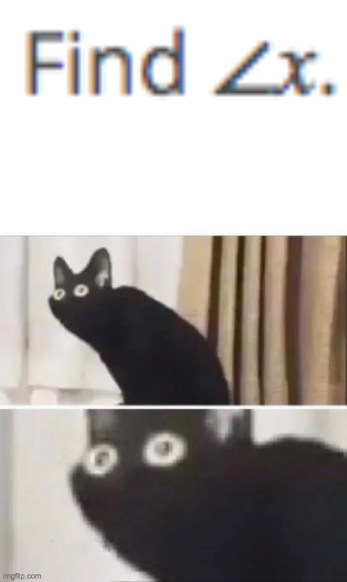 When I see that in a math test | image tagged in oh no black cat | made w/ Imgflip meme maker