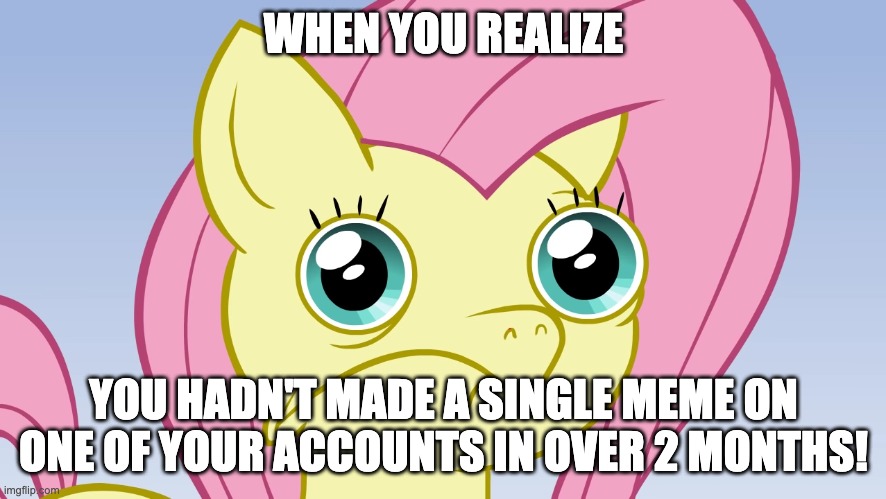 I haven't made a xanderbrony meme in months! | WHEN YOU REALIZE; YOU HADN'T MADE A SINGLE MEME ON ONE OF YOUR ACCOUNTS IN OVER 2 MONTHS! | image tagged in uncomfortable fluttershy,memes,ponies,xanderbrony | made w/ Imgflip meme maker