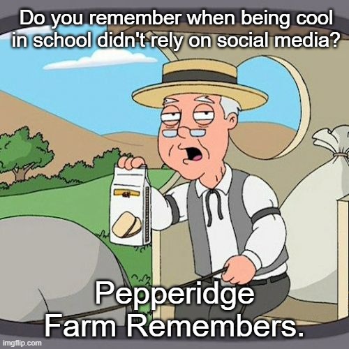 Pepperidge Farm Remembers Meme | Do you remember when being cool in school didn't rely on social media? Pepperidge Farm Remembers. | image tagged in memes,pepperidge farm remembers | made w/ Imgflip meme maker