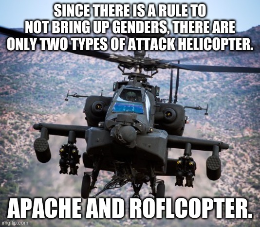 attack helicopter apache | SINCE THERE IS A RULE TO NOT BRING UP GENDERS, THERE ARE ONLY TWO TYPES OF ATTACK HELICOPTER. APACHE AND ROFLCOPTER. | image tagged in attack helicopter apache | made w/ Imgflip meme maker