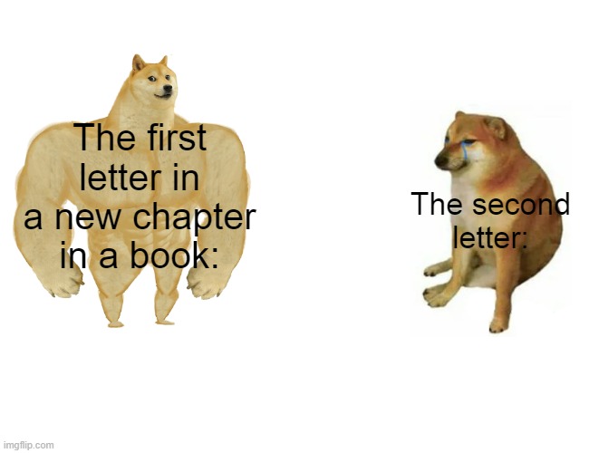 it be like this |  The first letter in a new chapter in a book:; The second letter: | image tagged in memes,buff doge vs cheems,books,big,small,oh wow are you actually reading these tags | made w/ Imgflip meme maker