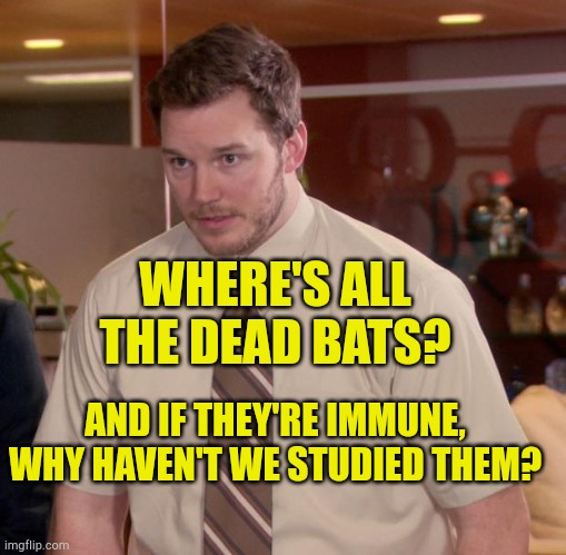 Show Me The Bats | WHERE'S ALL THE DEAD BATS? AND IF THEY'RE IMMUNE, WHY HAVEN'T WE STUDIED THEM? | image tagged in memes,afraid to ask andy,bats,immunity,pandemic,hoax | made w/ Imgflip meme maker