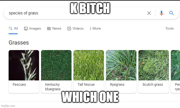 K BITCH WHICH ONE | made w/ Imgflip meme maker