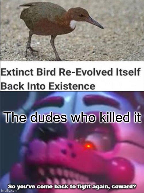 a | The dudes who killed it | image tagged in so you 've come back to fight again coward,fnaf,bird | made w/ Imgflip meme maker