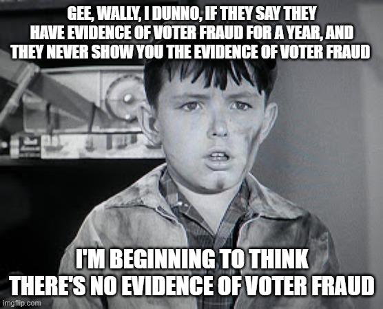 Beaver Cleaver  | GEE, WALLY, I DUNNO, IF THEY SAY THEY HAVE EVIDENCE OF VOTER FRAUD FOR A YEAR, AND THEY NEVER SHOW YOU THE EVIDENCE OF VOTER FRAUD; I'M BEGINNING TO THINK THERE'S NO EVIDENCE OF VOTER FRAUD | image tagged in beaver cleaver | made w/ Imgflip meme maker