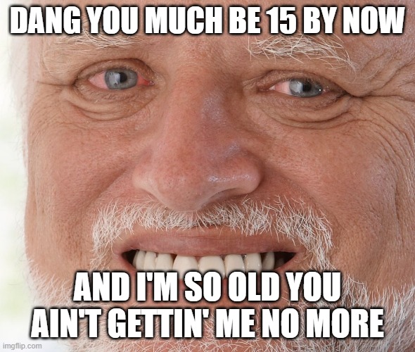 Hide the Pain Harold | DANG YOU MUCH BE 15 BY NOW AND I'M SO OLD YOU AIN'T GETTIN' ME NO MORE | image tagged in hide the pain harold | made w/ Imgflip meme maker