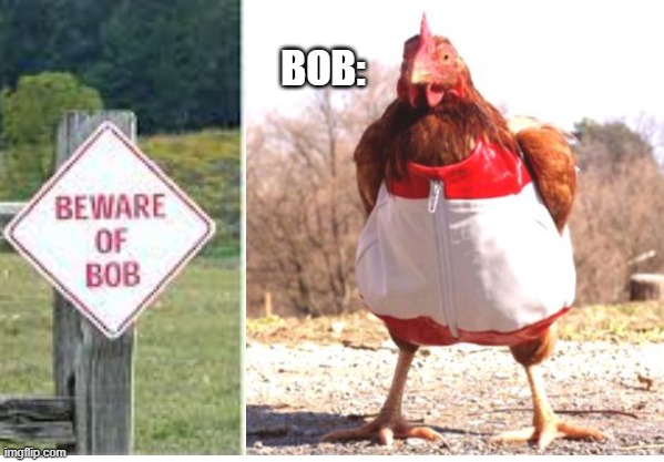 BEWARE- bob WILL find you, and he WILL get you | BOB: | image tagged in memes,funny memes,chicken,beware,oh wow are you actually reading these tags | made w/ Imgflip meme maker