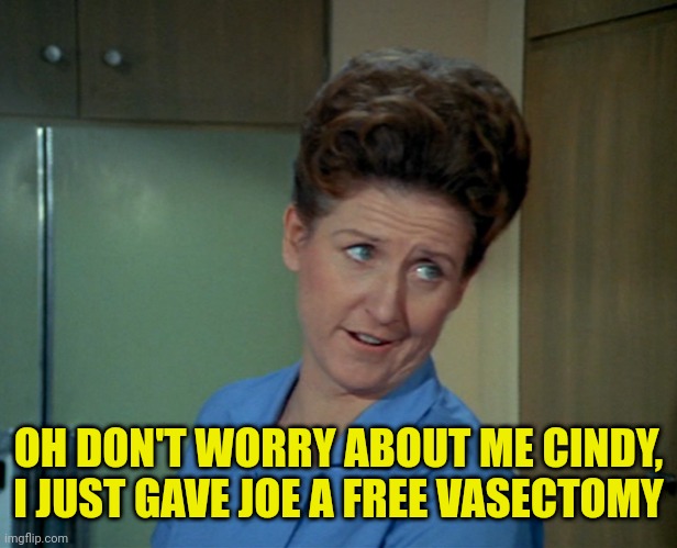 OH DON'T WORRY ABOUT ME CINDY, I JUST GAVE JOE A FREE VASECTOMY | made w/ Imgflip meme maker