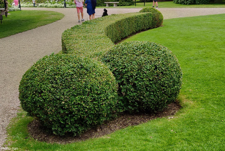 lost my job at the hedge design factory | image tagged in meme,gardening | made w/ Imgflip meme maker