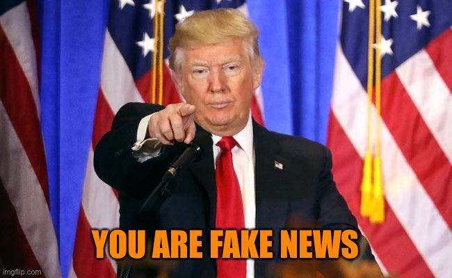 You Are Fake News | YOU ARE FAKE NEWS | image tagged in you are fake news | made w/ Imgflip meme maker