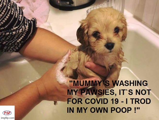 Puppy Poop Paws | image tagged in washing | made w/ Imgflip meme maker
