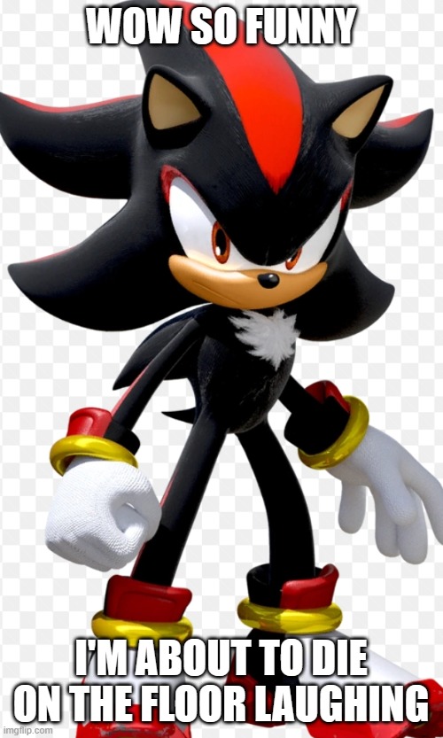 Shadow The Hedgehog | WOW SO FUNNY I'M ABOUT TO DIE ON THE FLOOR LAUGHING | image tagged in shadow the hedgehog | made w/ Imgflip meme maker