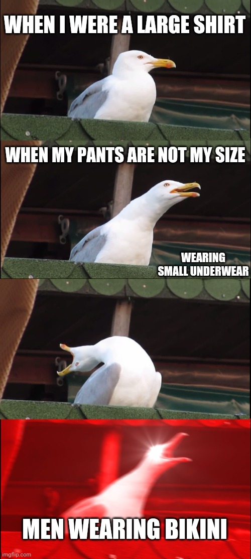 Inhaling Seagull Meme | WHEN I WERE A LARGE SHIRT; WHEN MY PANTS ARE NOT MY SIZE; WEARING SMALL UNDERWEAR; MEN WEARING BIKINI | image tagged in memes,inhaling seagull | made w/ Imgflip meme maker
