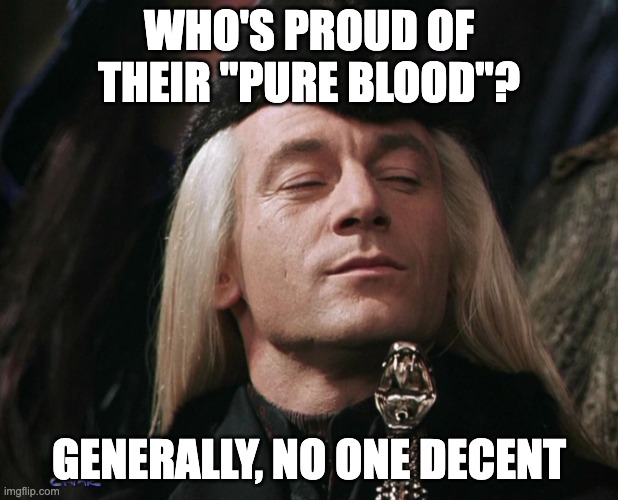 This "Pure Blood" nonsense is getting a little obnoxious. Also, nonsensical. | WHO'S PROUD OF THEIR "PURE BLOOD"? GENERALLY, NO ONE DECENT | image tagged in lucius malfoy,bigotry,nonsense,unscientific,racism | made w/ Imgflip meme maker