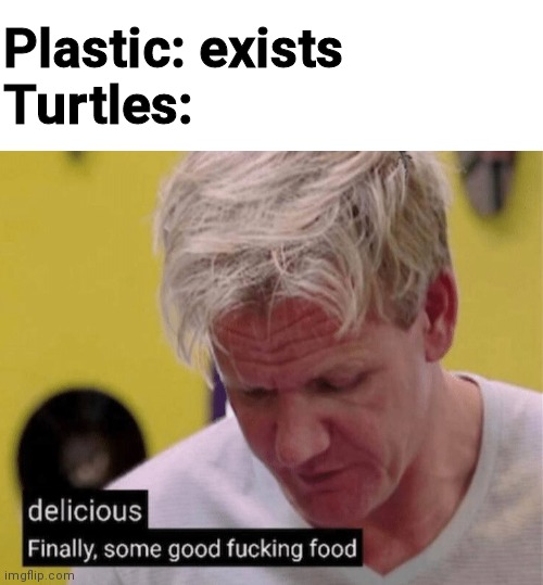 Plastic: exists 
Turtles: | image tagged in blank white template,delicious finally some good | made w/ Imgflip meme maker