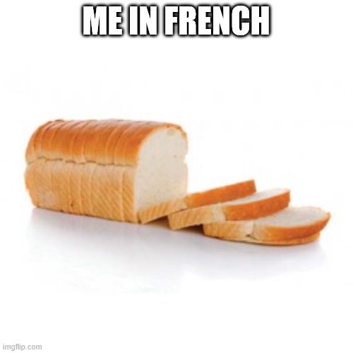 Sliced bread | ME IN FRENCH | image tagged in sliced bread | made w/ Imgflip meme maker