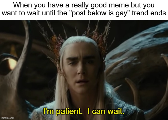 AM I GAY? | When you have a really good meme but you want to wait until the "post below is gay" trend ends; I'm patient.  I can wait. | made w/ Imgflip meme maker