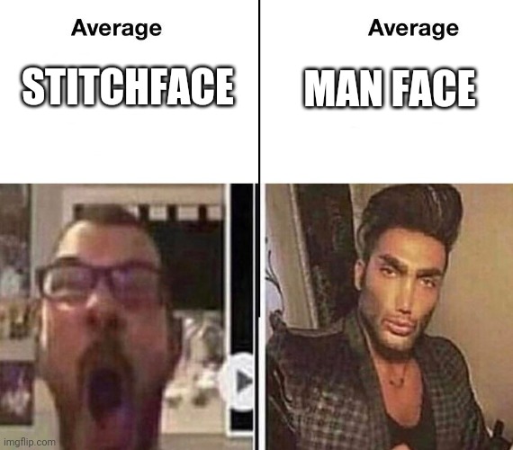 Average Fan vs. Average Enjoyer | STITCHFACE MAN FACE | image tagged in average fan vs average enjoyer | made w/ Imgflip meme maker