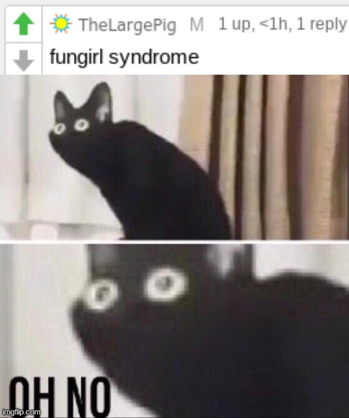 image tagged in oh no cat | made w/ Imgflip meme maker