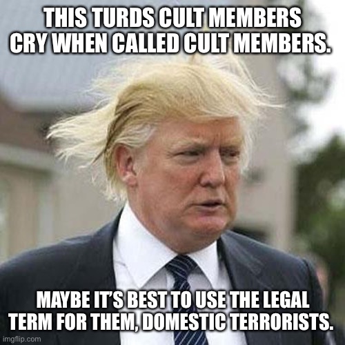 Donald Trump | THIS TURDS CULT MEMBERS CRY WHEN CALLED CULT MEMBERS. MAYBE IT’S BEST TO USE THE LEGAL TERM FOR THEM, DOMESTIC TERRORISTS. | image tagged in donald trump | made w/ Imgflip meme maker