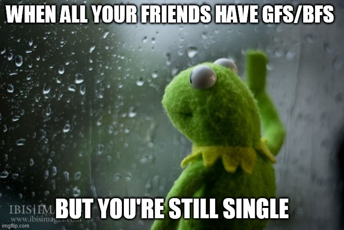 bread in french | WHEN ALL YOUR FRIENDS HAVE GFS/BFS; BUT YOU'RE STILL SINGLE | image tagged in kermit window,sad,memes,humor based on my pain | made w/ Imgflip meme maker