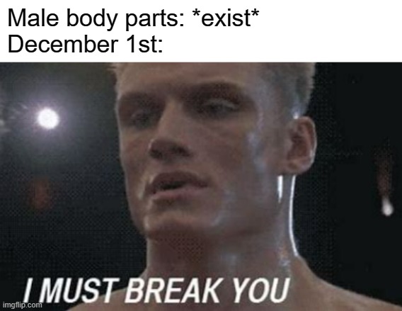 LOOK OUT | Male body parts: *exist*
December 1st: | image tagged in funny | made w/ Imgflip meme maker