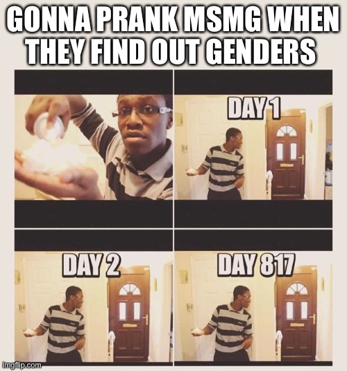 gonna prank x when he/she gets home | GONNA PRANK MSMG WHEN THEY FIND OUT GENDERS | image tagged in gonna prank x when he/she gets home | made w/ Imgflip meme maker