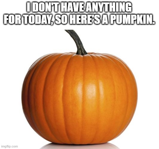 sorry. (31 Days Of Spooktober - Day 18) | I DON'T HAVE ANYTHING FOR TODAY, SO HERE'S A PUMPKIN. | image tagged in pumpkin,memes,funny,nothing,oh wow are you actually reading these tags | made w/ Imgflip meme maker