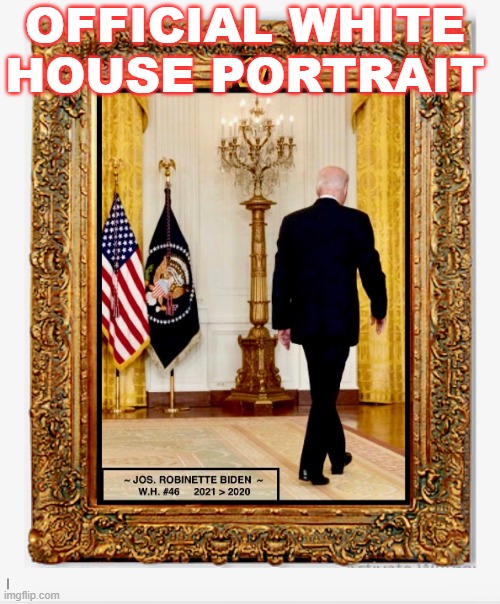 OFFICIAL WHITE HOUSE PORTRAIT | OFFICIAL WHITE HOUSE PORTRAIT | image tagged in official white house portrait | made w/ Imgflip meme maker
