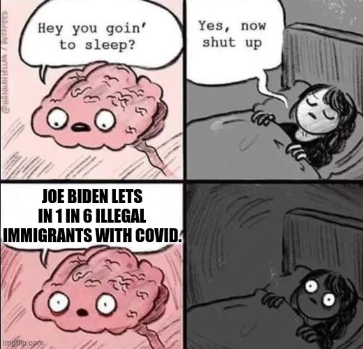 waking up brain | JOE BIDEN LETS IN 1 IN 6 ILLEGAL IMMIGRANTS WITH COVID. | image tagged in memes,politics,joe biden,illegal immigrants,covid,let me in | made w/ Imgflip meme maker