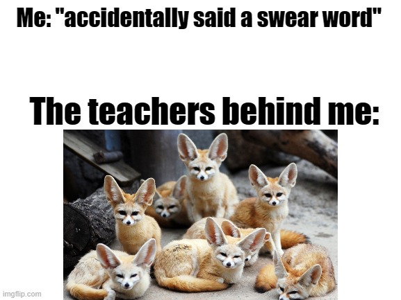 Me: "accidentally said a swear word"; The teachers behind me: | image tagged in fox,memes | made w/ Imgflip meme maker