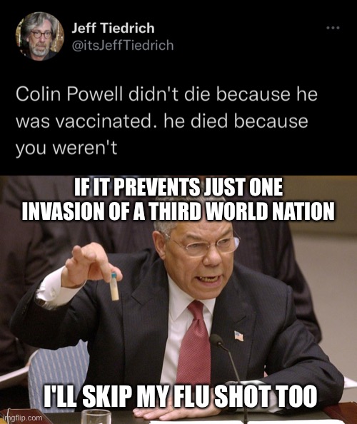 If it saves just one million lives... | IF IT PREVENTS JUST ONE INVASION OF A THIRD WORLD NATION; I'LL SKIP MY FLU SHOT TOO | image tagged in colin powell | made w/ Imgflip meme maker