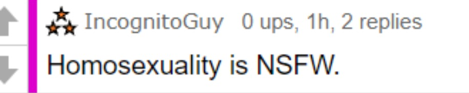 IncognitoGuy homosexuality is NSFW Blank Meme Template