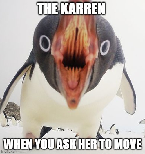 PENGUIN | THE KARREN; WHEN YOU ASK HER TO MOVE | image tagged in cursed image | made w/ Imgflip meme maker