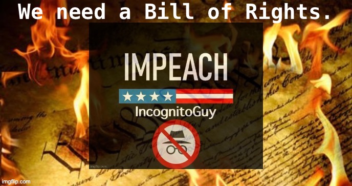 IG’s impeachment teaches that we need firm protections against the idea that elected governments can do literally anything. | We need a Bill of Rights. | image tagged in impeach incognitoguy burning constitution,constitution,the constitution,imgflip_presidents,free speech,civil rights | made w/ Imgflip meme maker