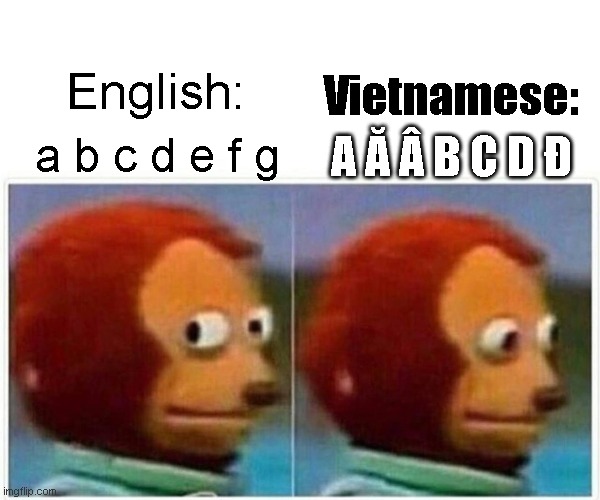 Monkey Puppet | English:; Vietnamese:; a b c d e f g; A Ă Â B C D Đ | image tagged in memes,monkey puppet | made w/ Imgflip meme maker