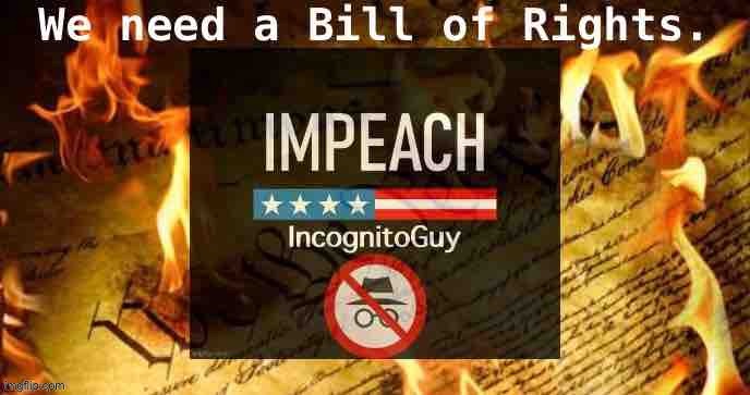 No Bill of Rights in RUP’s Constitution — isn’t that interesting, and telling? | image tagged in constitution,the constitution,bill of rights,rup,impeach ig,aup | made w/ Imgflip meme maker